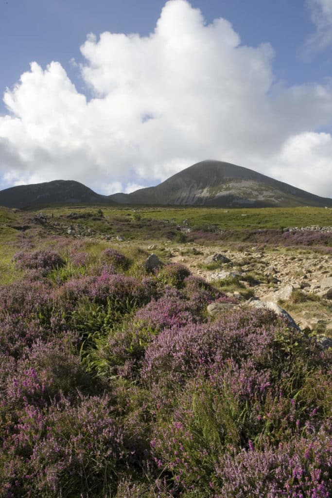 croagh patrick path