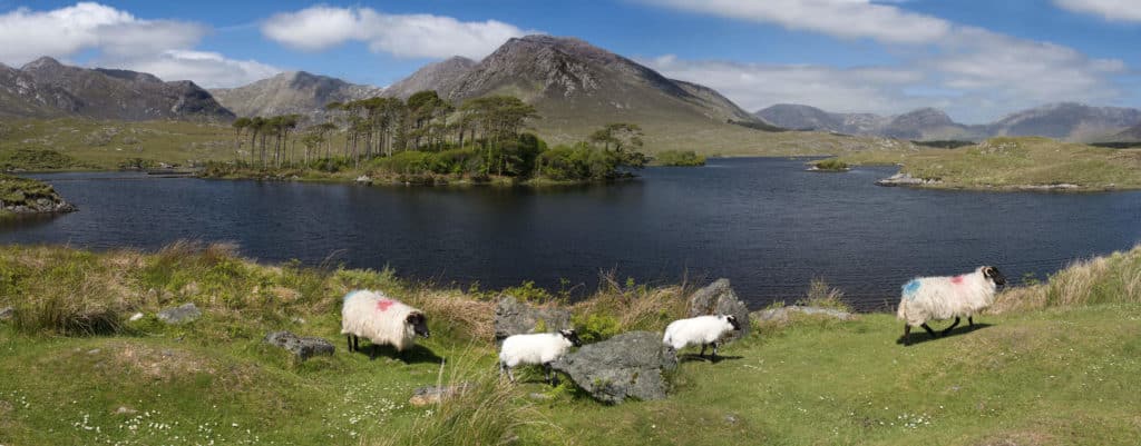 Connemara National Park