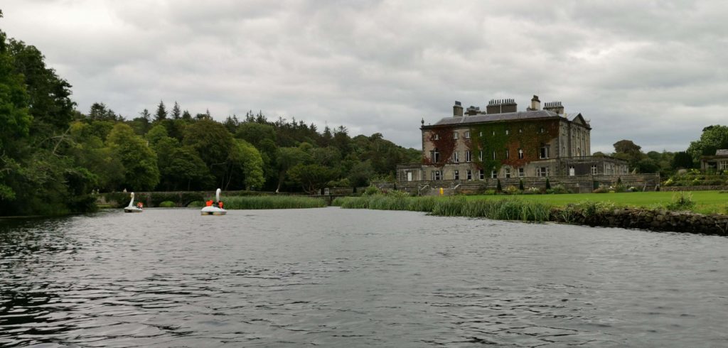 swans westport