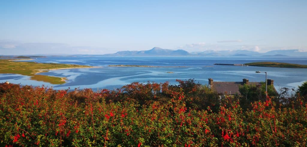 Ireland in June