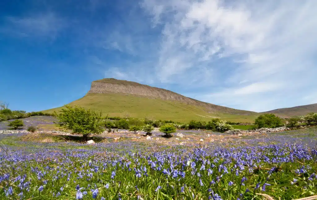 west coast of Ireland
