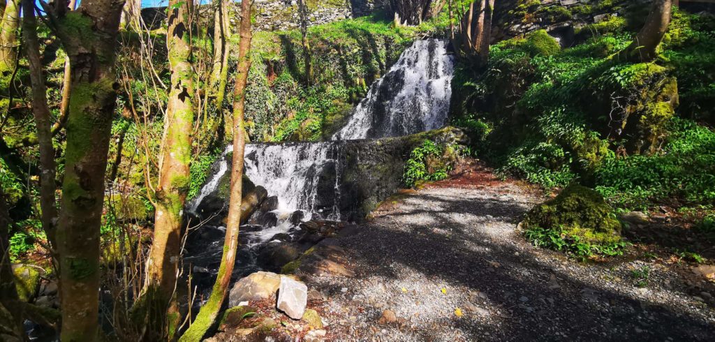 ellis trail connemara