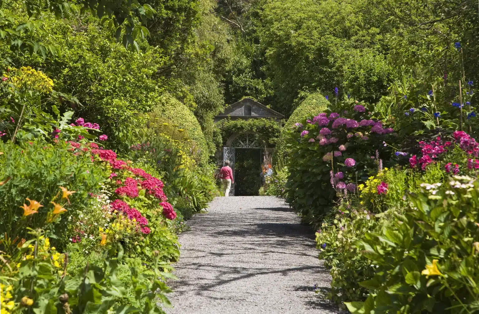 Double Perenniel borders in the Walled Garden.