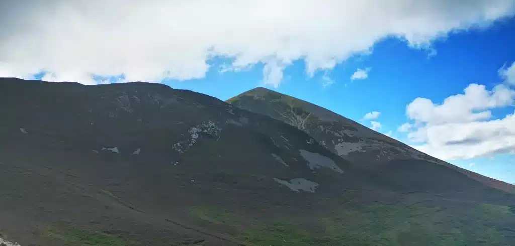 the reek