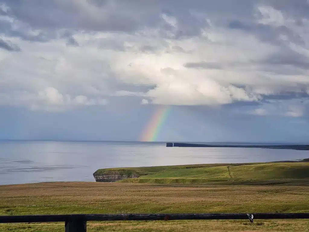 mayo rainbow