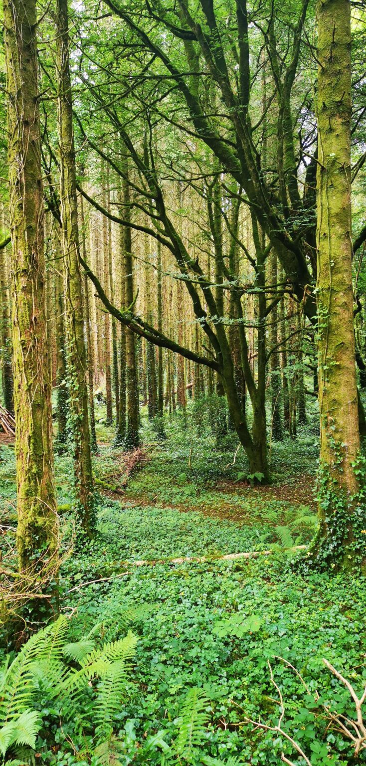 30+ Magical Things To Do In County Mayo (2024)